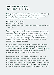 Ikdienas grāmata - Horoskops 2025. gadam. Vērsis